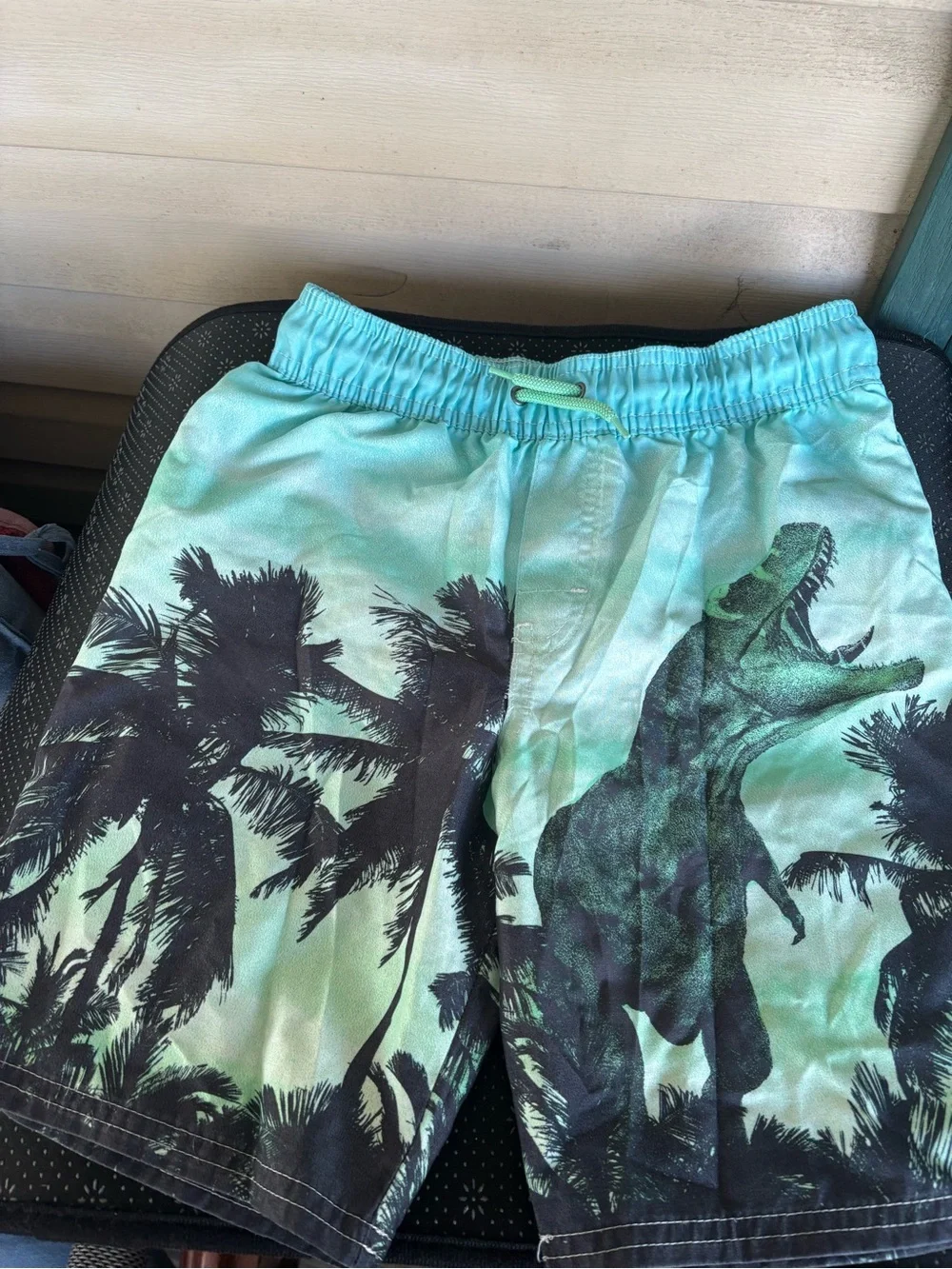 OshKosh B'gosh Teal Dino & Palm Swim Shorts